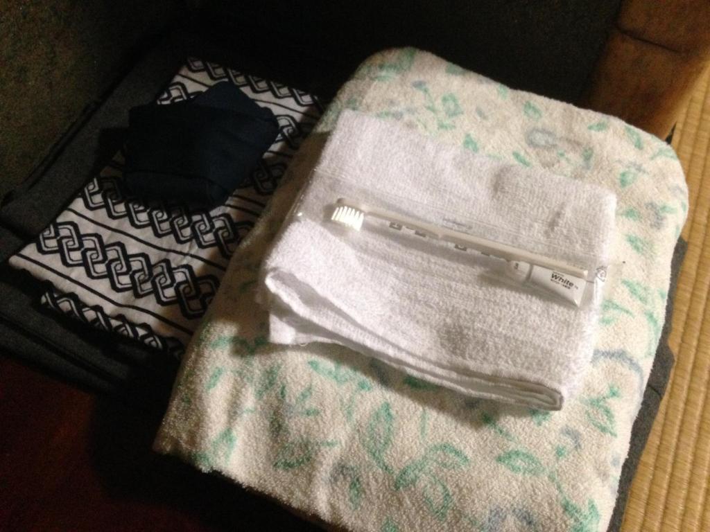 Chuokan Shimizuya Ryokan Nagano